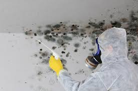 Best Forensic Mold Investigation  in North Middletown, NJ